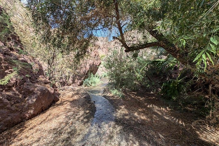Guided Hike to Ringbolt Hot Springs: Colorado River Adventure from Las Vegas photo 4