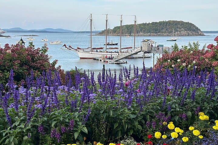 Exploring Bar Harbor and Acadia: A Full-Day Coastal Adventure From Bangor photo 6