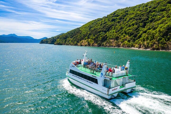 Queen Charlotte Sound Scenic Cruise from Picton — 2-Hour Shore Excursion photo 1