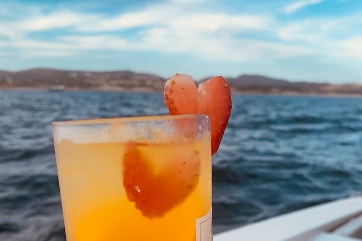 Sunset Cruise San José del Cabo — Appetizers, Open Bar & Bay Views photo 6