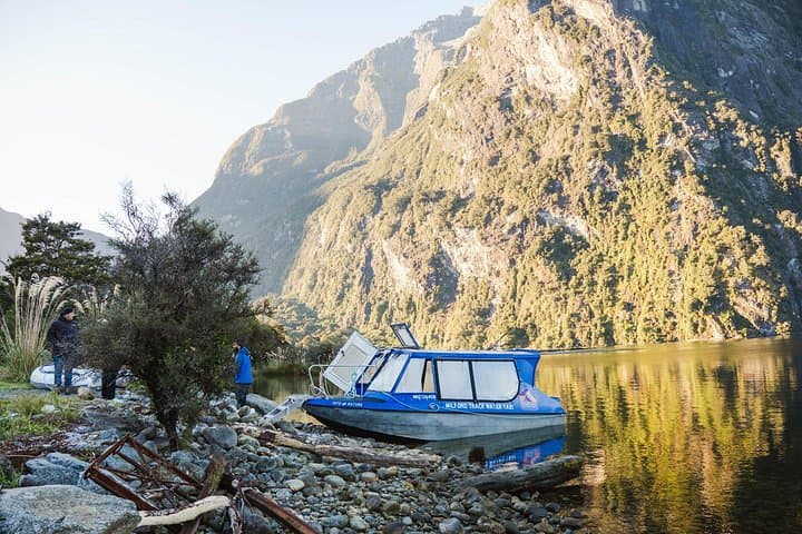 Milford Sound Nature Cruise & Scenic Milford Track Walk — Day Trip from Te Anau photo 2