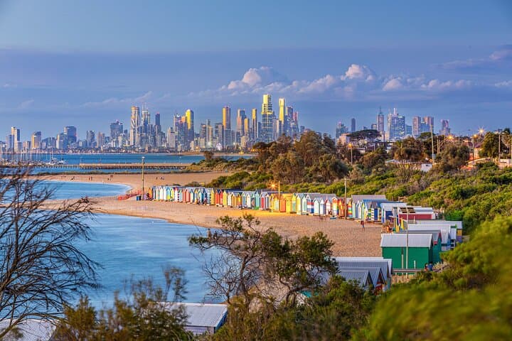Melbourne Penguin Parade, Maru Koala Park & Brighton Bathing Boxes Day Tour photo 2