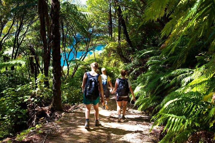 Picton Water Taxi to Kaipupu Sanctuary — 2.8km Native Bush Loop photo 1