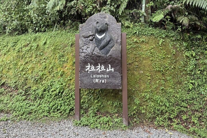 3-Day Twin Peaks Tour: Lala Mountain & Taipingshan Forest Adventure photo 3