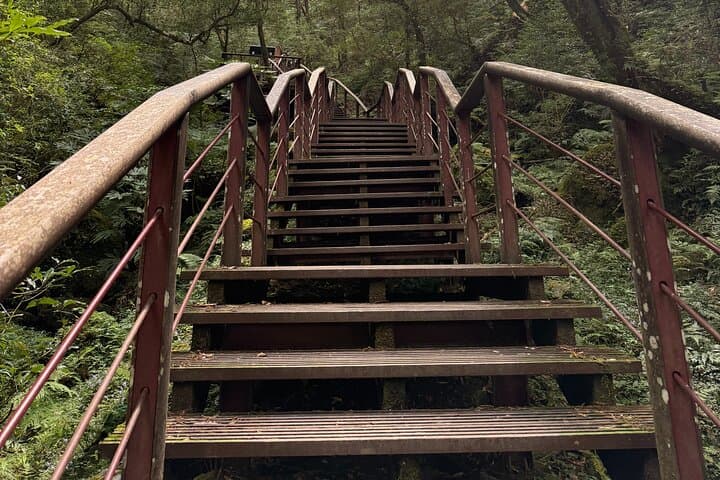 3-Day Twin Peaks Tour: Lala Mountain & Taipingshan Forest Adventure photo 4