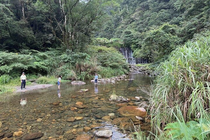3-Day Twin Peaks Tour: Lala Mountain & Taipingshan Forest Adventure photo 6