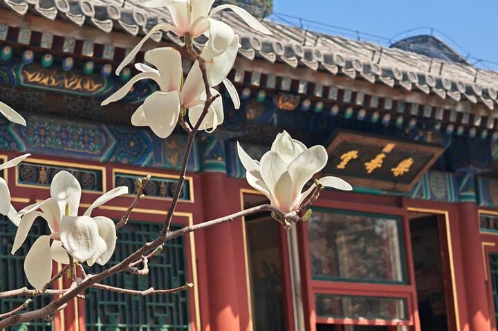 Exploring Beijing's Summer Palace: Full-Day Cultural Garden & Kunming Lake Walk photo 4