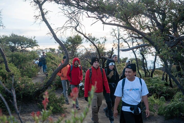 Bromo Sunrise & Ijen Blue Fire: 3-Day Volcano Adventure from Bali