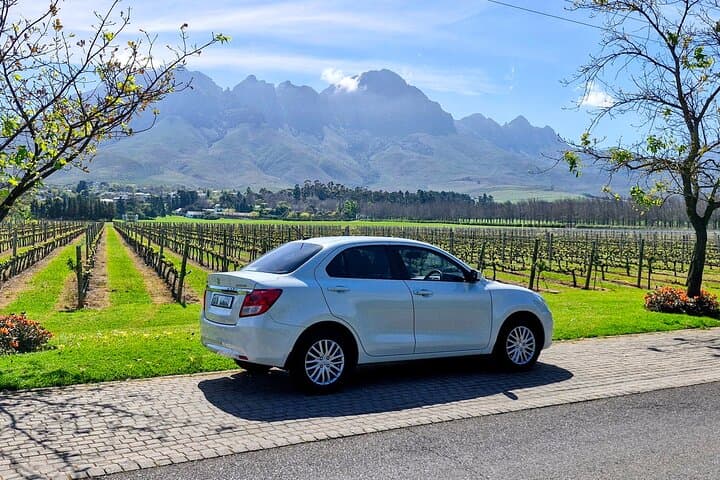 Private Driver Day Charter: Cape Peninsula, Winelands & Hermanus from Cape Town photo 2