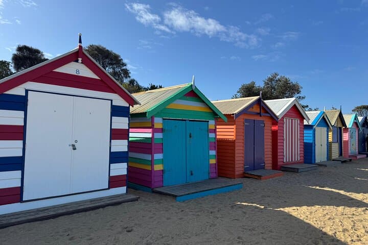 Phillip Island Penguin Parade & Moonlit Sanctuary: Small-Group Premium Day Tour from Melbourne photo 2