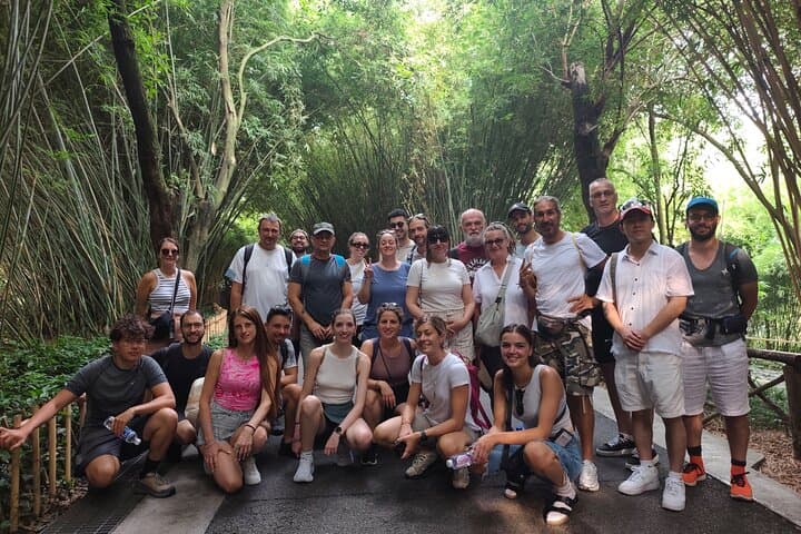 Chengdu Panda Base and Leshan Giant Buddha Day Tour — Pandas, Cliff Buddha & Cultural Stops photo 2