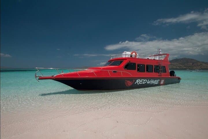 Komodo Island Day Trip: Padar Hike, Pink Beach & Manta Snorkel photo 6