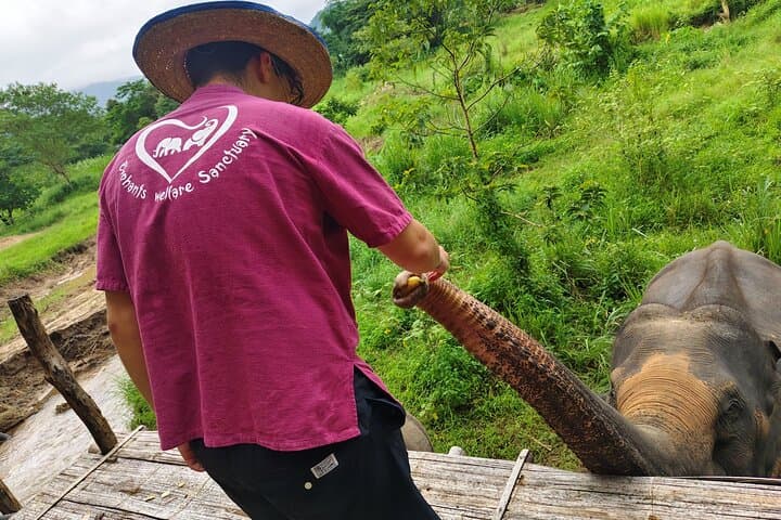 Chiang Mai Highlights: 2-Day Homestay with Elephants, Doi Suthep & Sticky Waterfalls photo 4