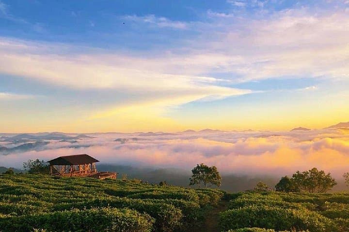 Dalat Dawn: Sunrise Over a Sea of Clouds and Cau Dat Tea Hill photo 1
