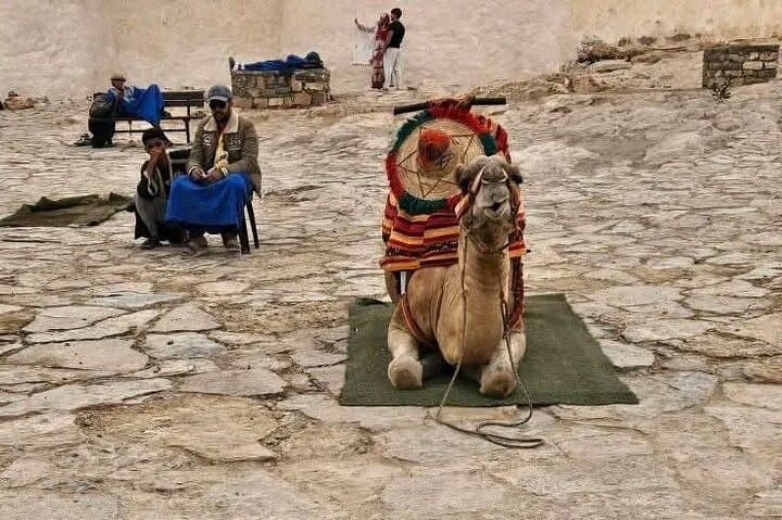 Agadir Cable Car, Crocopark & Tree-Climbing Goats: Half-Day Tour from Agadir photo 3