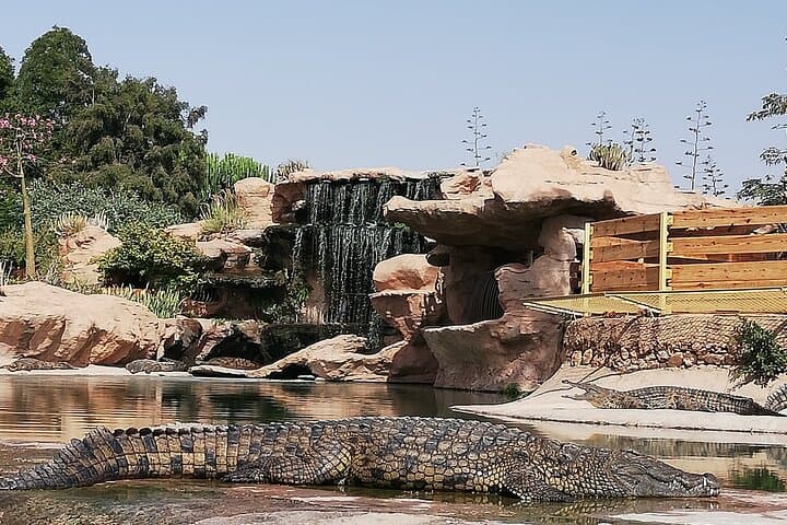 Agadir Cable Car, Crocopark & Tree-Climbing Goats: Half-Day Tour from Agadir photo 6