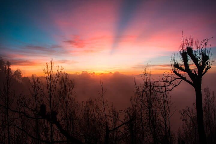 Bromo & Ijen: 3-Day Private Overland Tour from Yogyakarta to Bali photo 4
