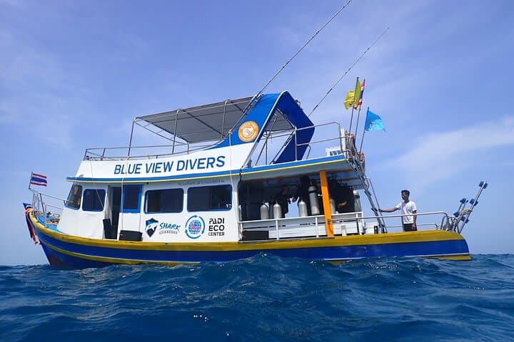 Phi Phi Half-Day Two-Dive Trip for Certified Divers — Turtles, Sharks & Coral photo 2