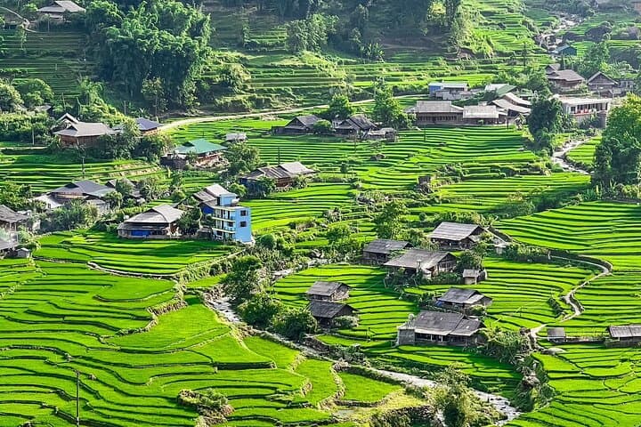 Discover Sapa: Half-Day Trek Through Muong Hoa Valley & Ta Van Villages