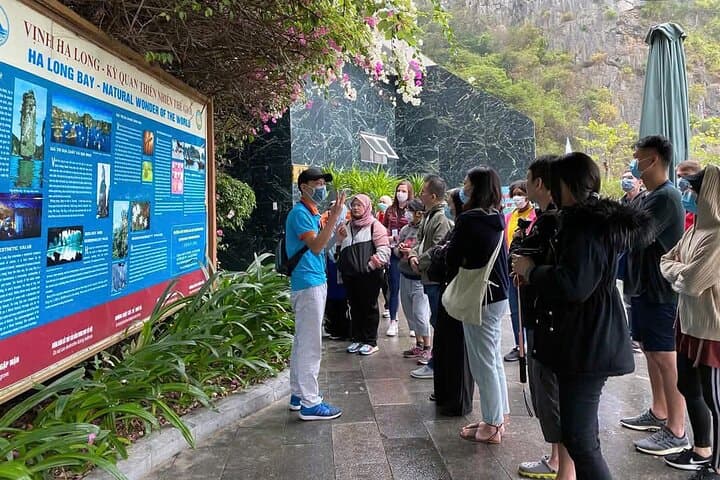 Thien Cung Cave & 4-Hour Ha Long Bay Cruise with Kayaking and Seafood Lunch photo 4