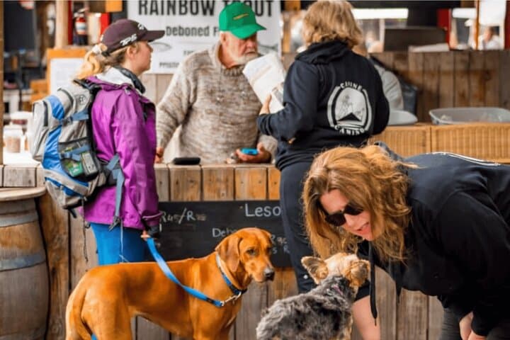 Hermanus Dog-Friendly Coastal Hike: 4-Day Guided Adventure with Private Chef