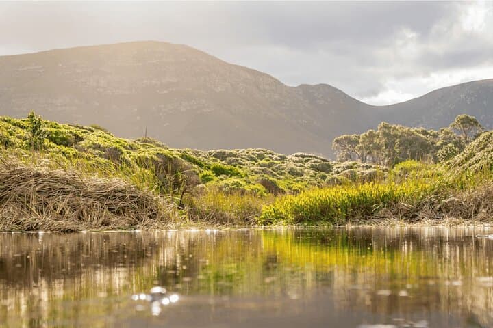 Hermanus Dog-Friendly Coastal Hike: 4-Day Guided Adventure with Private Chef photo 6