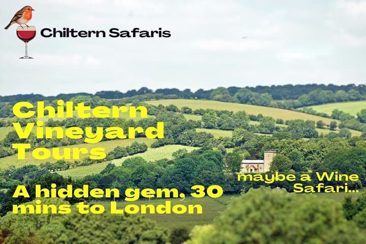 Chilterns Blue Line: Boutique Vineyard Wine Tour from Amersham