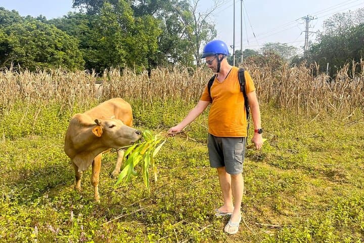 Duong Lam Ancient Village Day Tour from Hanoi — Cycling, Temples & Rural Life photo 6