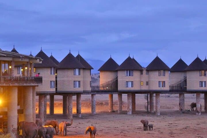 Salt Lick Safari: 3-Day Taita Hills Wildlife Escape from Nairobi photo 4