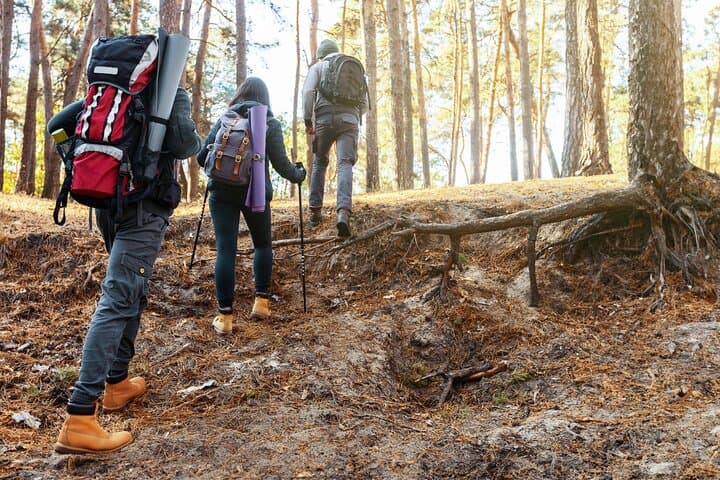 Hike Altynbas Mountain: Medeo Panorama and Saka Heritage