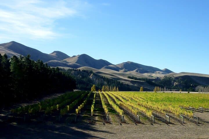 Waipara Wine Trail Private Tour from Christchurch — Full-Day Waipara Valley Tastings photo 2