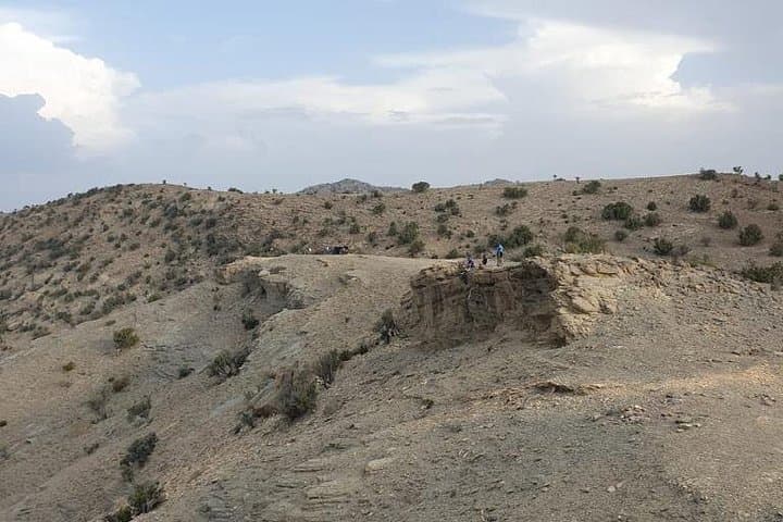 Nizwa & Jebel Akhdar Day Trip from Muscat — Forts, Souqs and Mountain Views photo 4