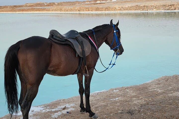 Siwa Oasis Horseback Riding: Sunrise & Sunset Dune Tour photo 4