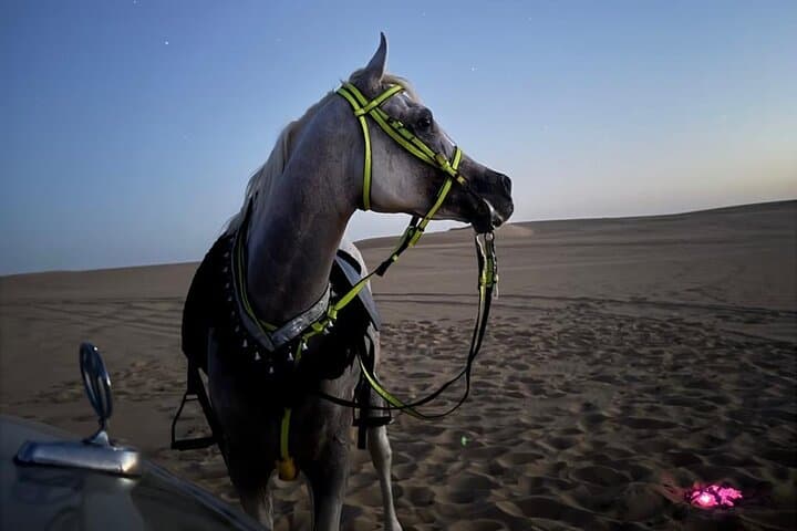 Siwa Oasis Horseback Riding: Sunrise & Sunset Dune Tour
