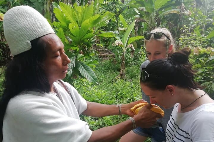 Private Cacao & Taironaka Tour on Don Diego River — Riohacha Day Trip