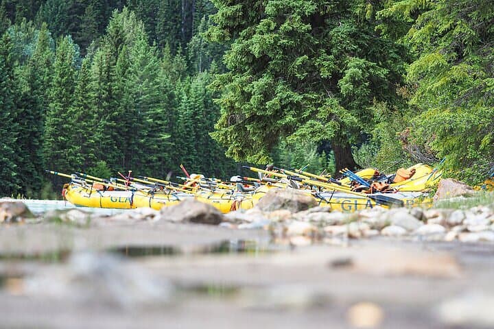 Kicking Horse River Rafting — Whitewater Adventure in Golden, BC photo 4