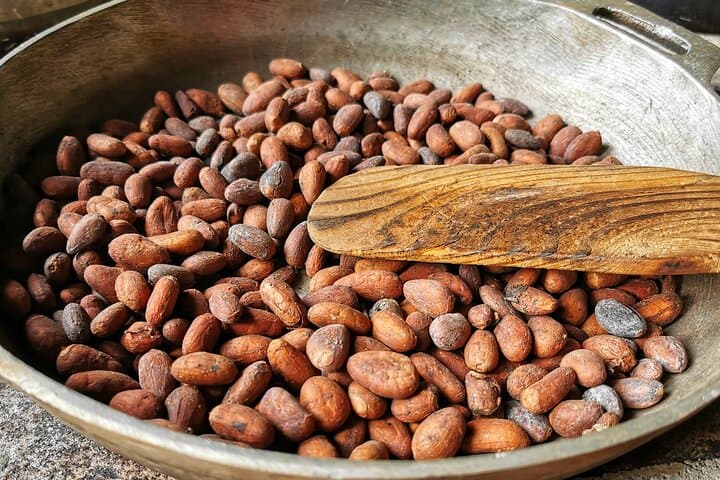 Chocolate, Coffee & Trapiche Experience Near Manuel Antonio photo 3