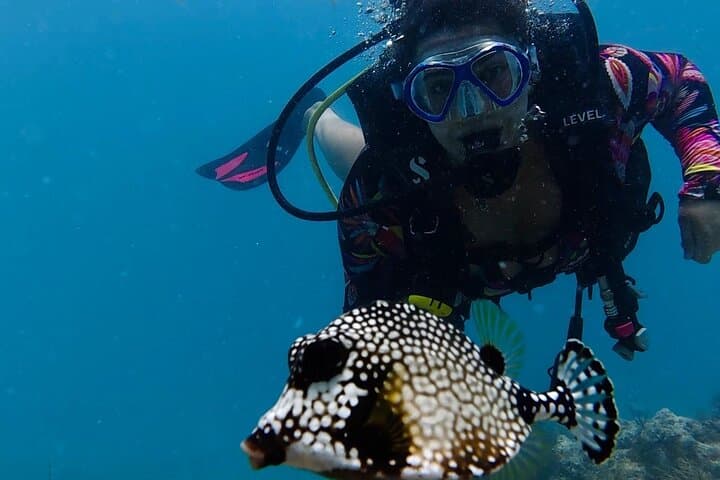 Exploring America’s Only Living Barrier Reef: Eco-Conscious Diving with Southpoint Divers in Key West photo 2