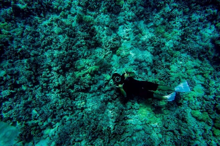 Private Super-Raft Kona Snorkel Tour — Family-Friendly Kona Coast Adventure photo 3