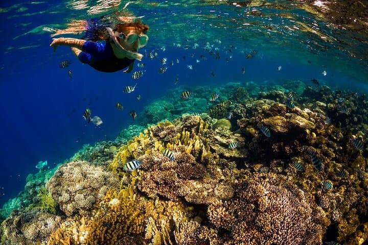 Private Super-Raft Kona Snorkel Tour — Family-Friendly Kona Coast Adventure photo 4