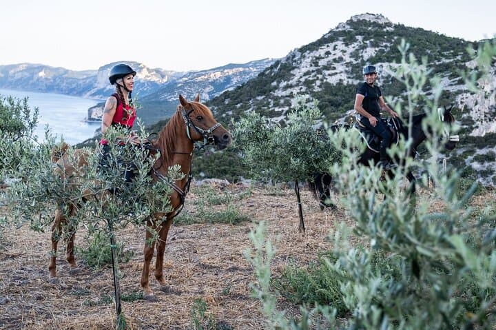 Dorgali Panoramic Horseback Tour on the Gulf of Orosei