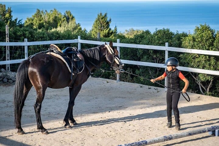 Dorgali Panoramic Horseback Tour on the Gulf of Orosei photo 3