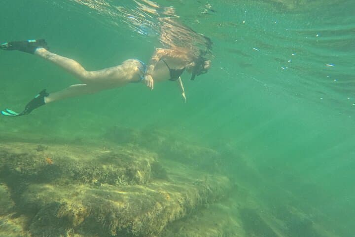 Miami 3-Hour Private Snorkel on SeaRay Sundeck — Up to 8 Guests photo 5