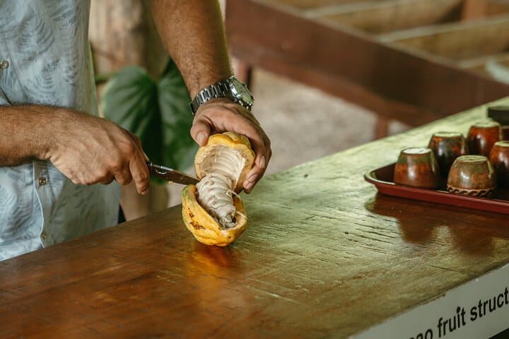 Manuel Antonio Chocolate, Coffee & Trapiche Tour: Jungle Tasting Experience photo 4