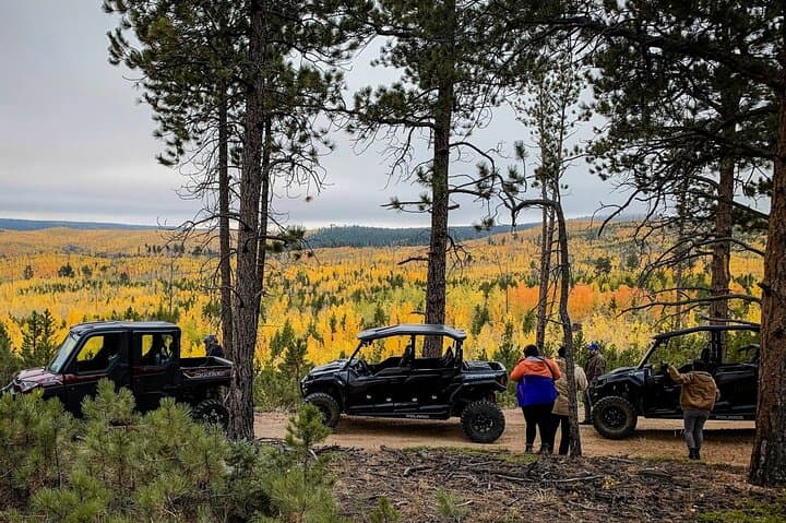 Drive a Sunset UTV Wildlife Safari in Pike National Forest (Woodland Park, CO)