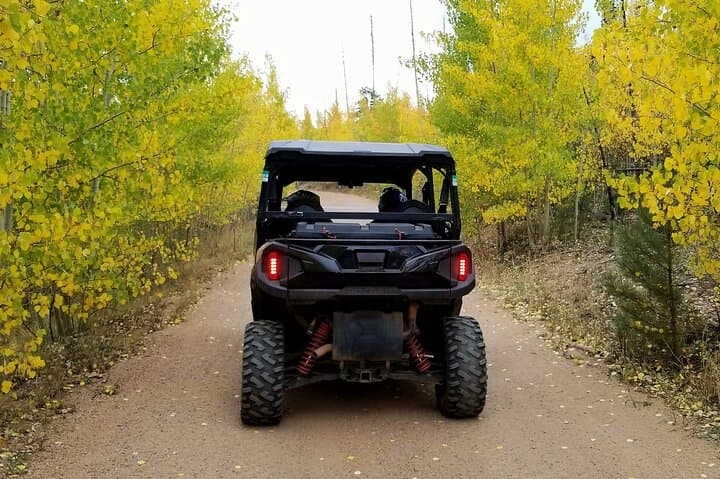 Drive a Sunset UTV Wildlife Safari in Pike National Forest (Woodland Park, CO) photo 6