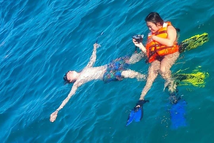 Pelican Rock Snorkeling: Sandfalls, Sea Fans & Snorkel Tips in Cabo San Lucas photo 4