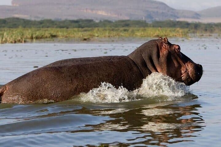 Bike Hell's Gate and Lake Naivasha: Day Tour from Nairobi photo 2