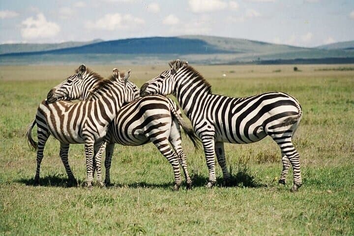 Bike Hell's Gate and Lake Naivasha: Day Tour from Nairobi photo 5