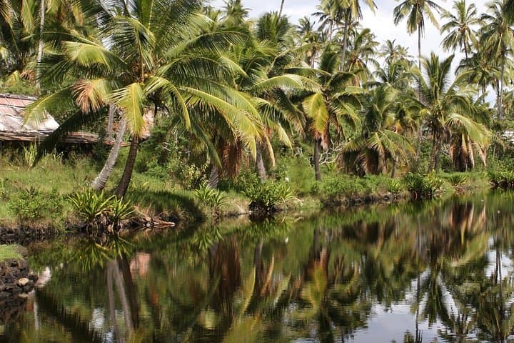 On-Location in Kauai: A Guide to the Island's Famous Movie Sites photo 4